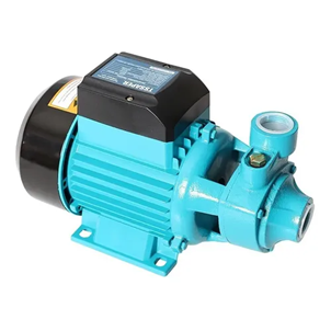 BOMBA PERIFERICA TPB1000 - 110V - 1CV TSSAPER